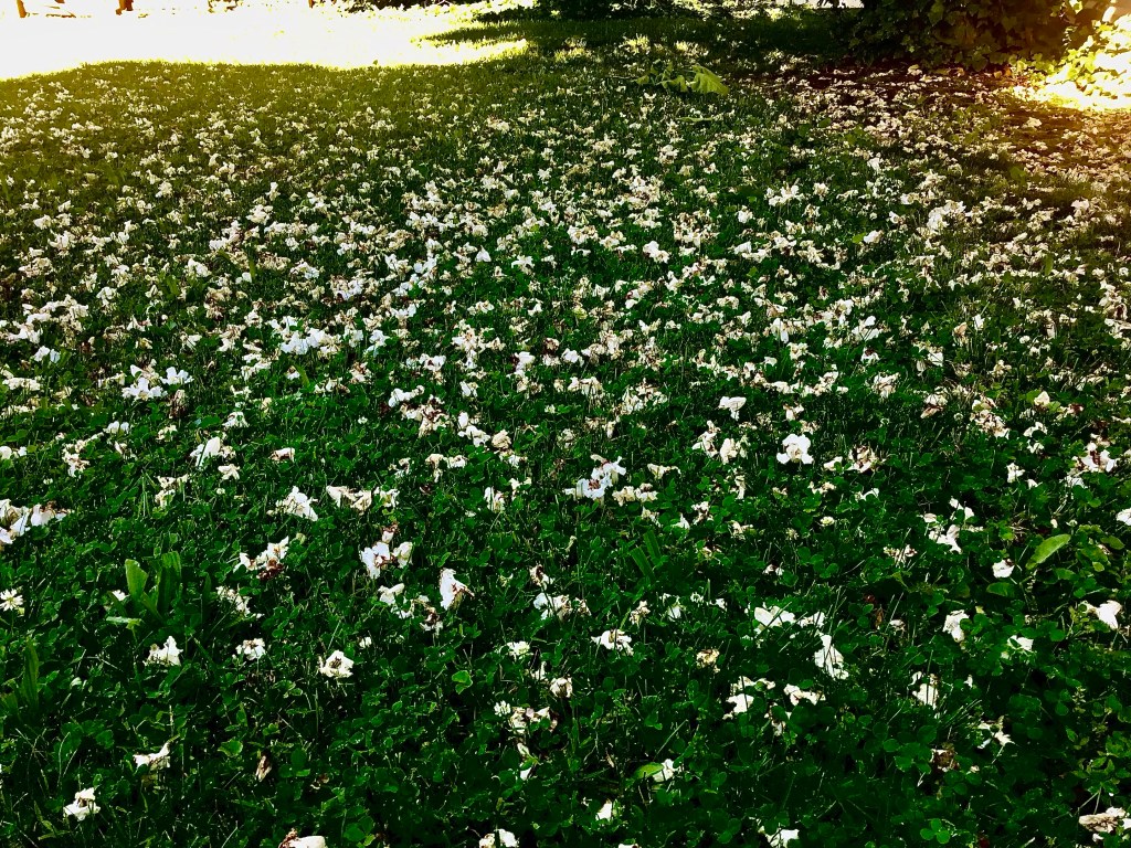 A lesson on choosing&nbsp;lessons