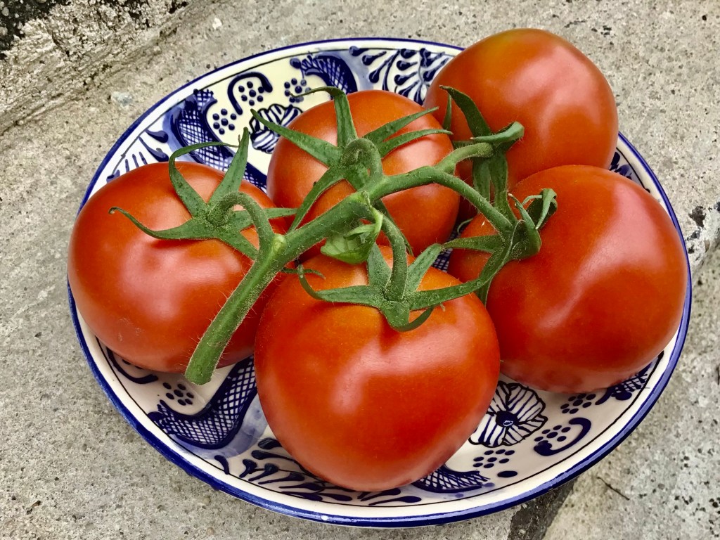 tə-ˈmā-(ˌ)tō / tə-ˈmä-(ˌ)tō /&nbsp;tə-ˈma-(ˌ)tō