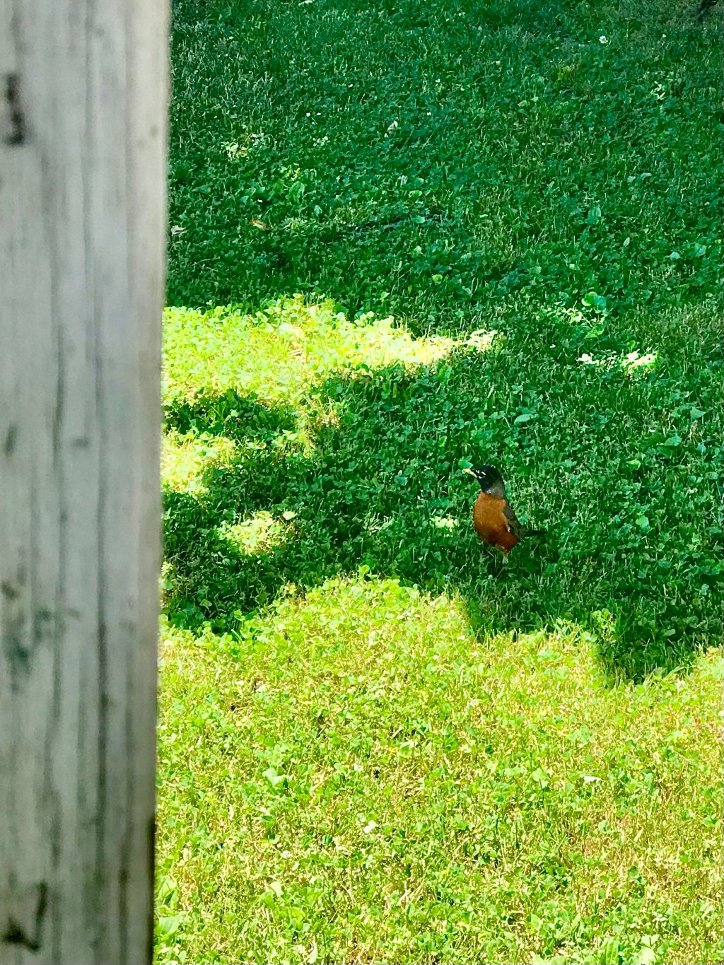 It can not be said that many birds have facial features displaying a friendly&nbsp;disposition