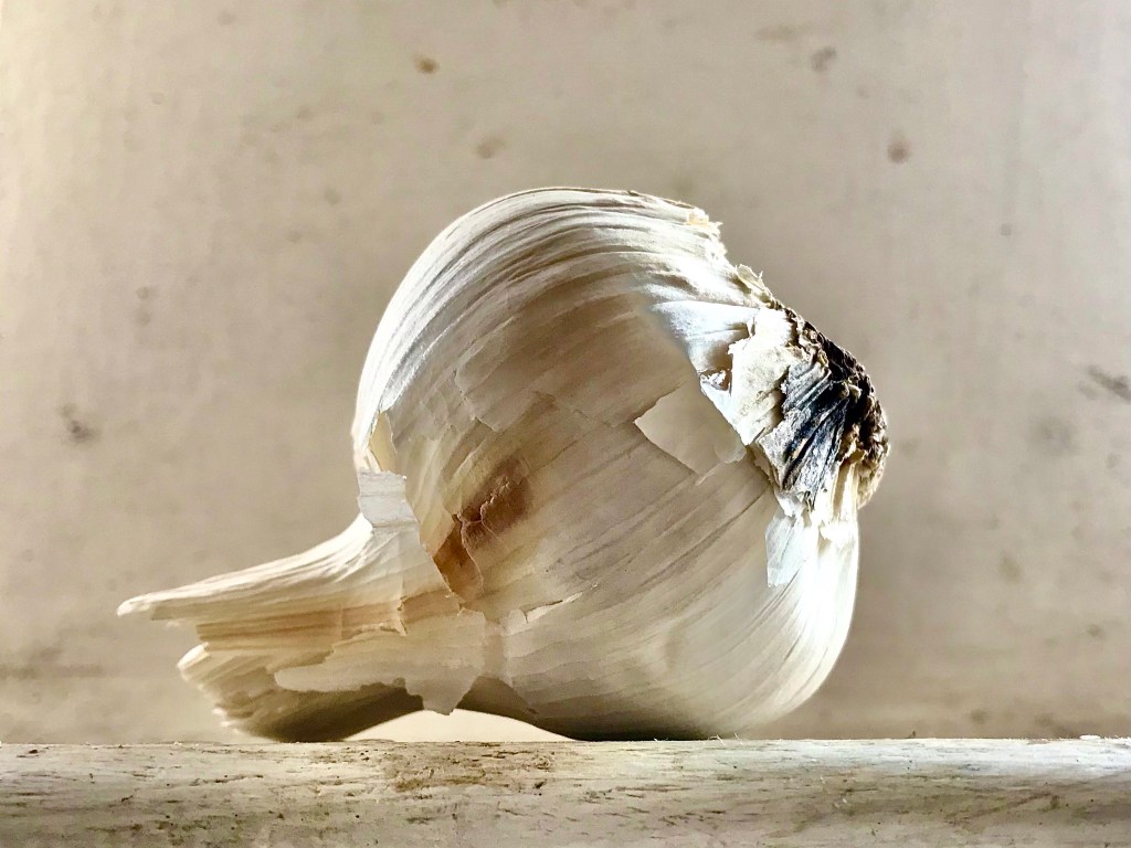 Beginning to question “personification”