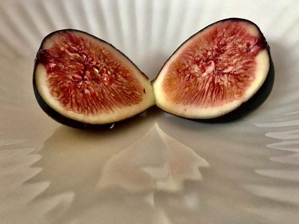 Black Mission Fig