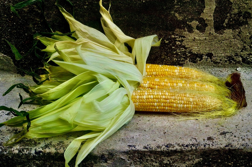 Exhibitionist Zea (x3)