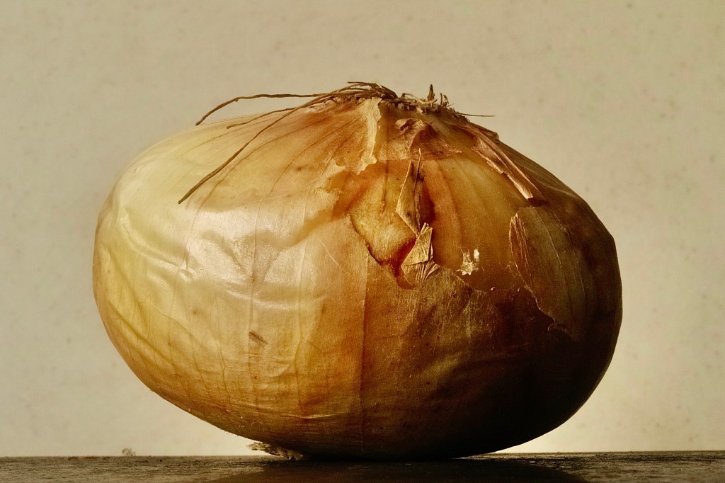 Onion