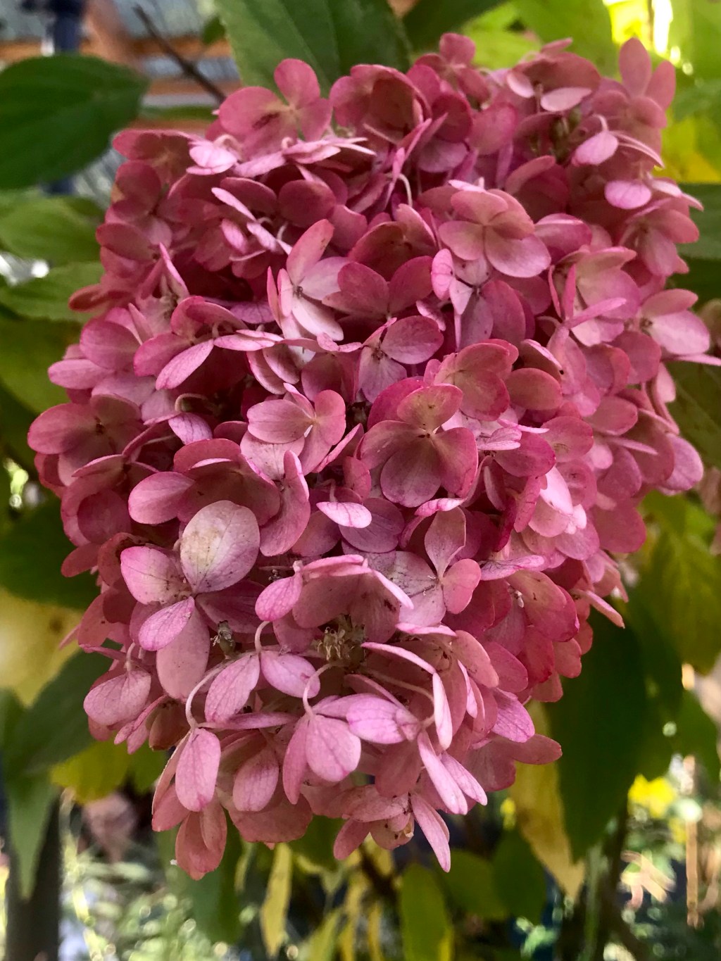 Beauty relative to&nbsp;distance