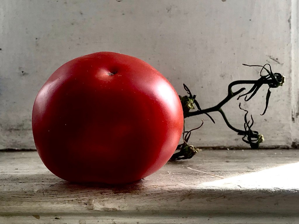 The red of this tomato made me bring it&nbsp;home