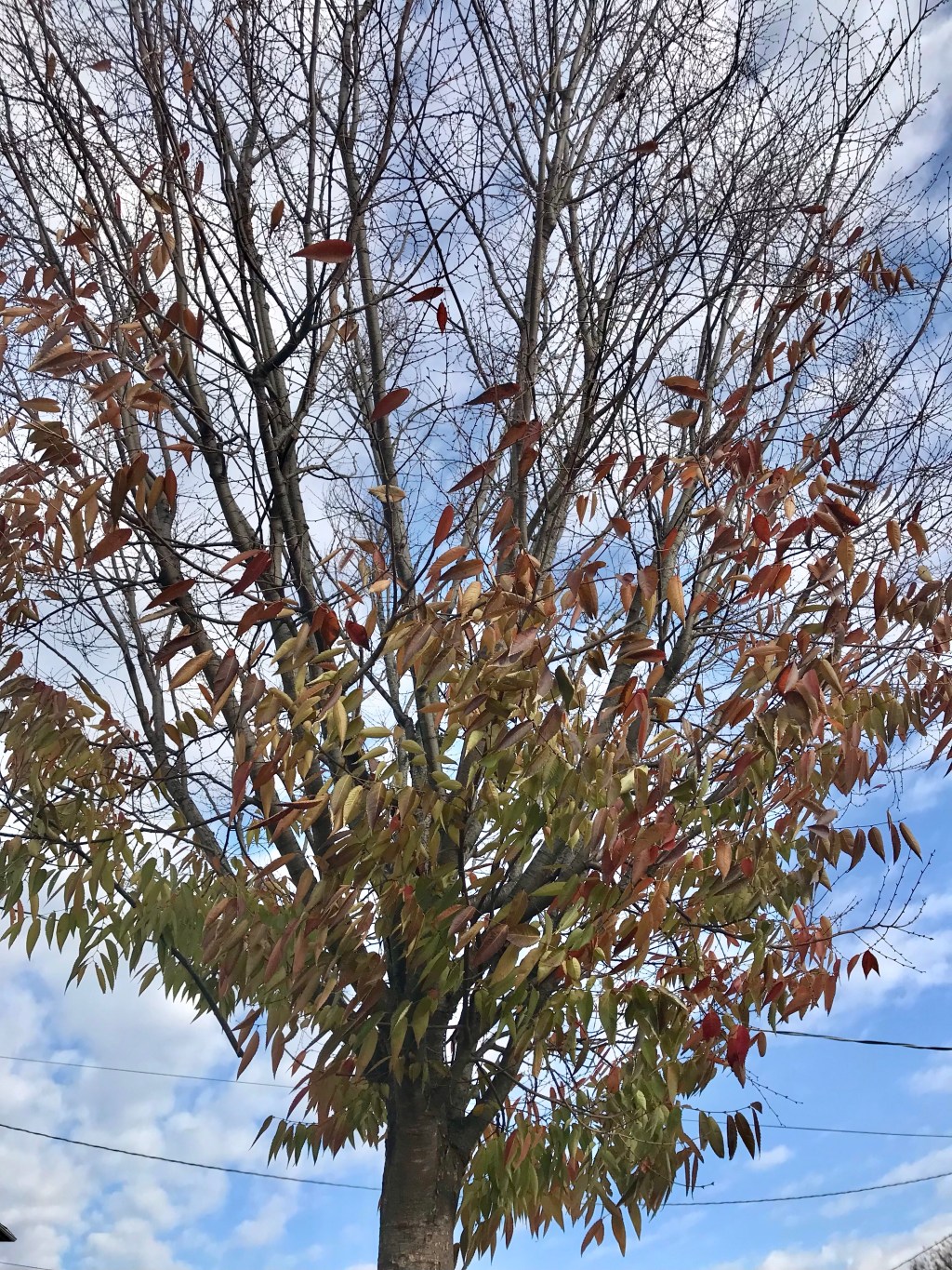 That sudden movement from direct observation towards the viewfinder is always an immediate&nbsp;loss