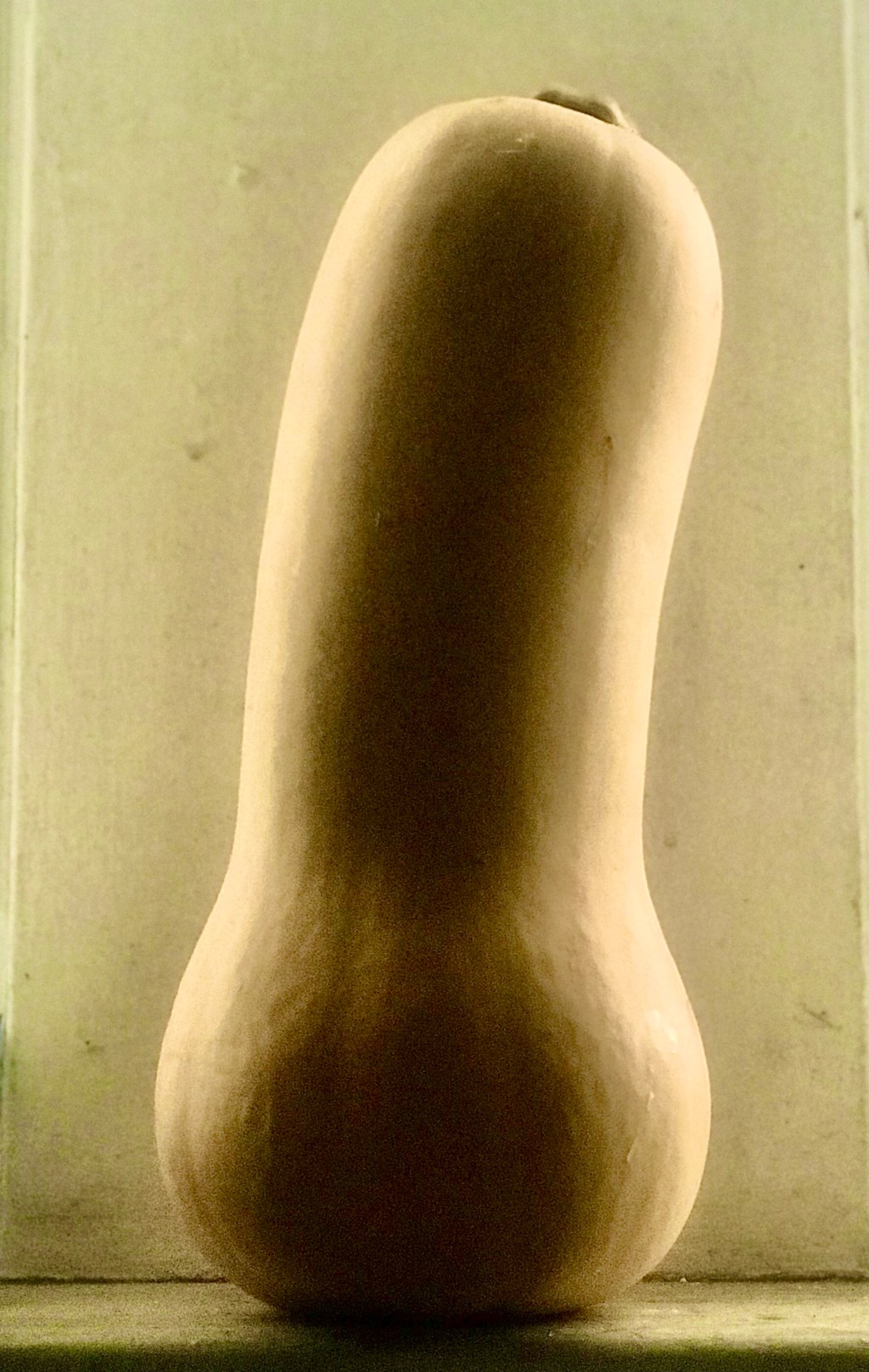 Butternut Squash Portrait