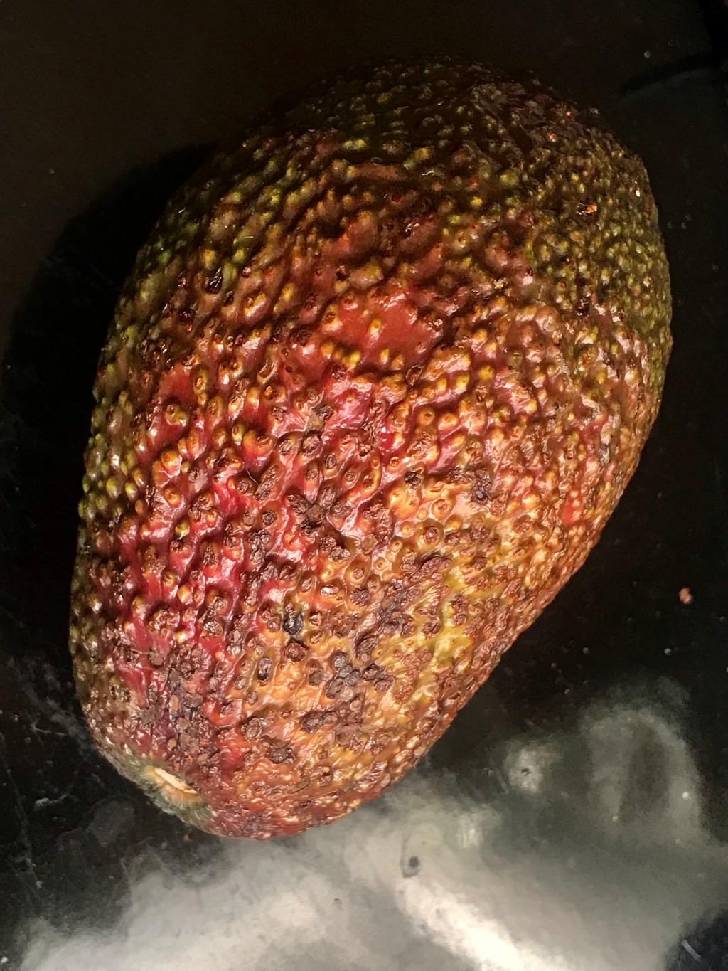 Avocado with red&nbsp;side