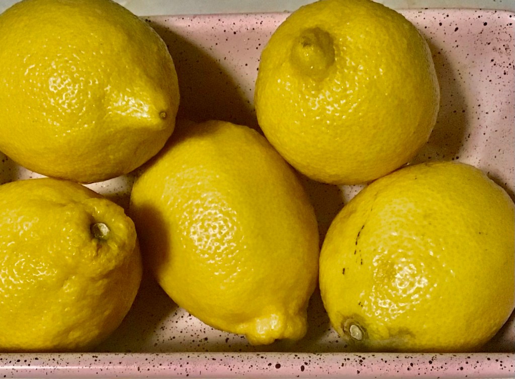 Currently diving into lemons lemons lemons lemons lemons (by Sam&nbsp;Steiner)