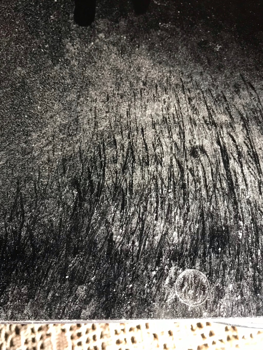 Rice & Fall (on electronic&nbsp;devise)