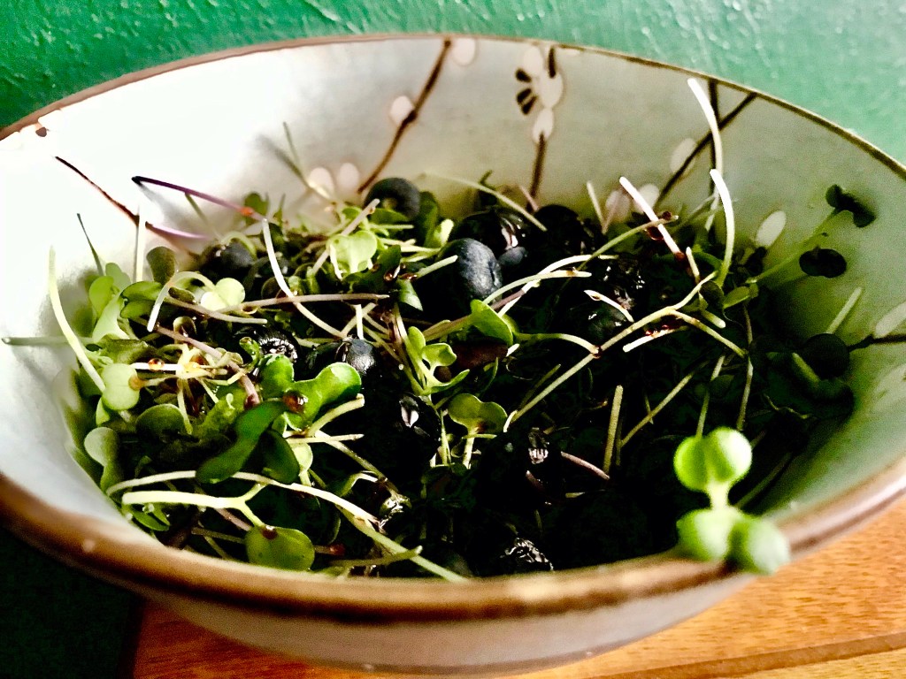 Microgreens, blueberries, dark chocolate balsamic vinegar, and olive&nbsp;oil