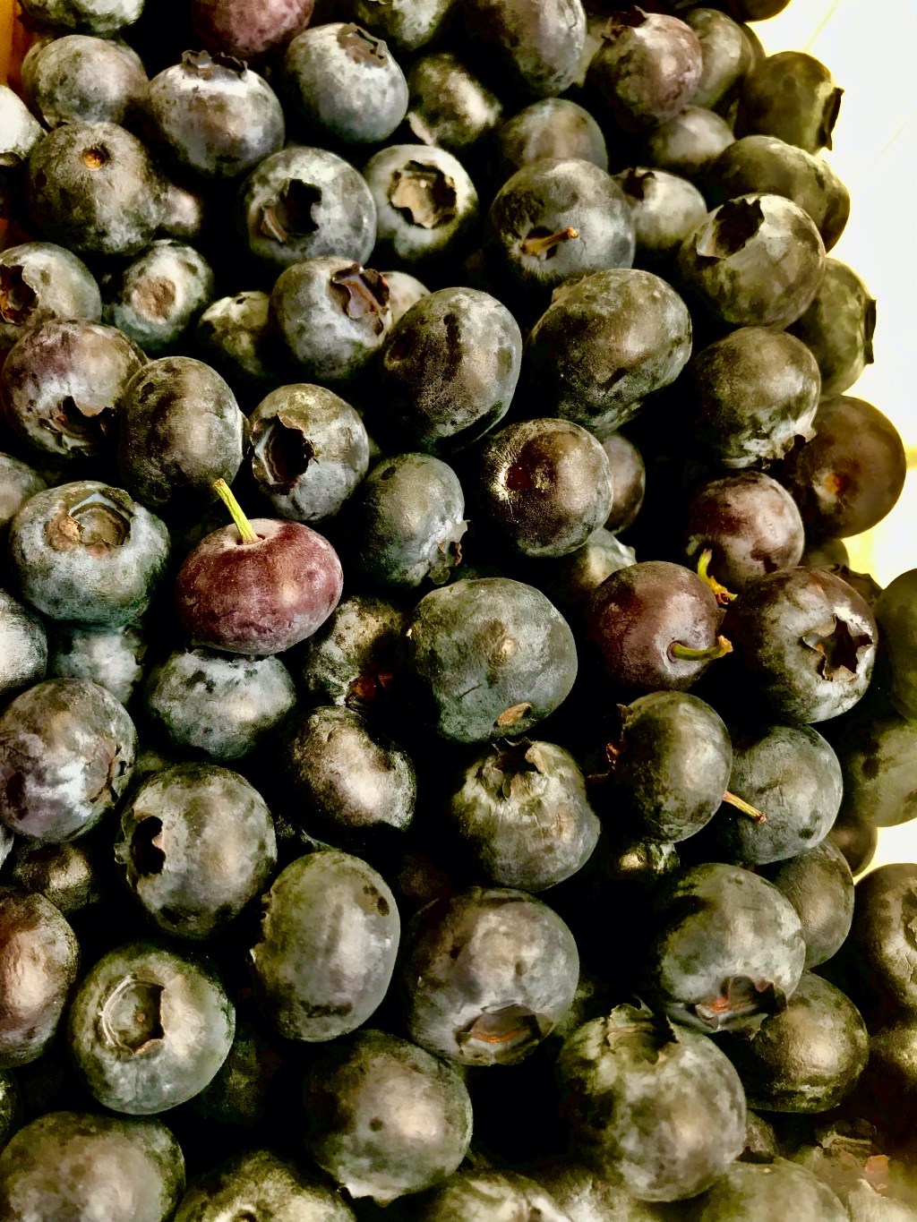 Reddish, with peduncle