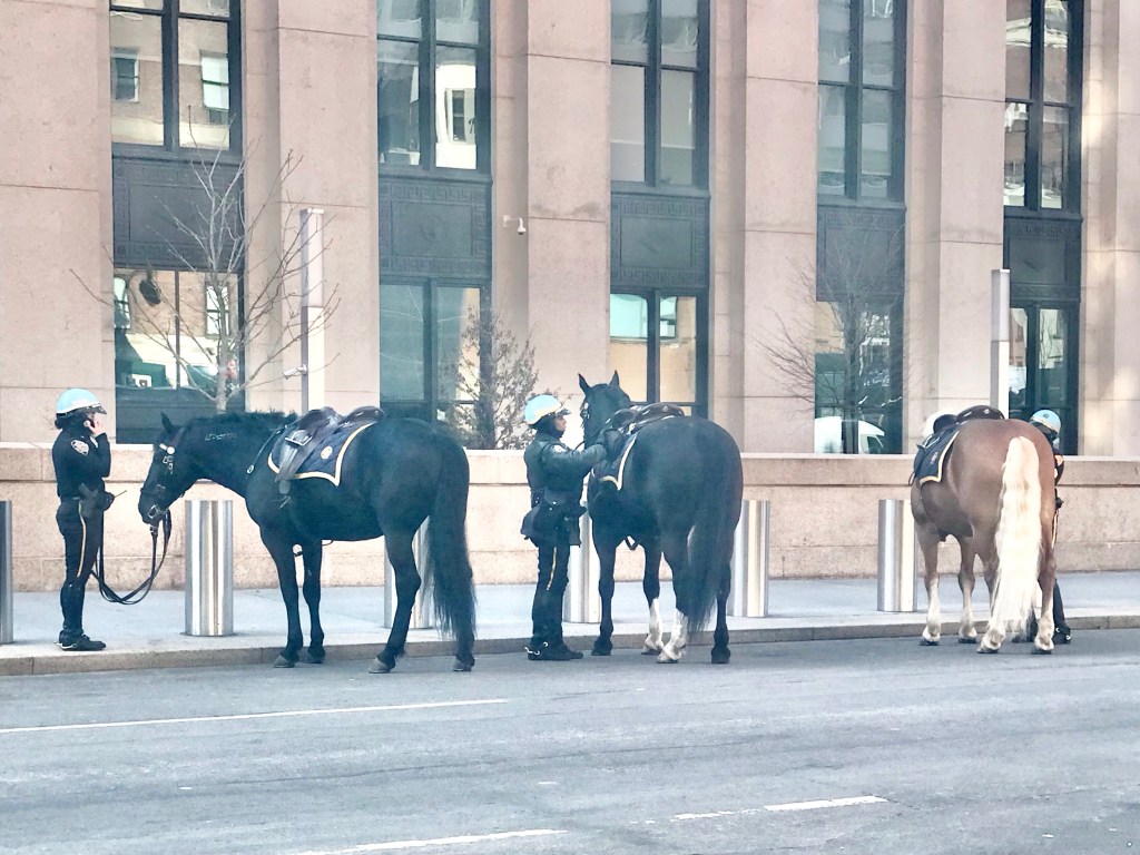 Girls watching with&nbsp;horses