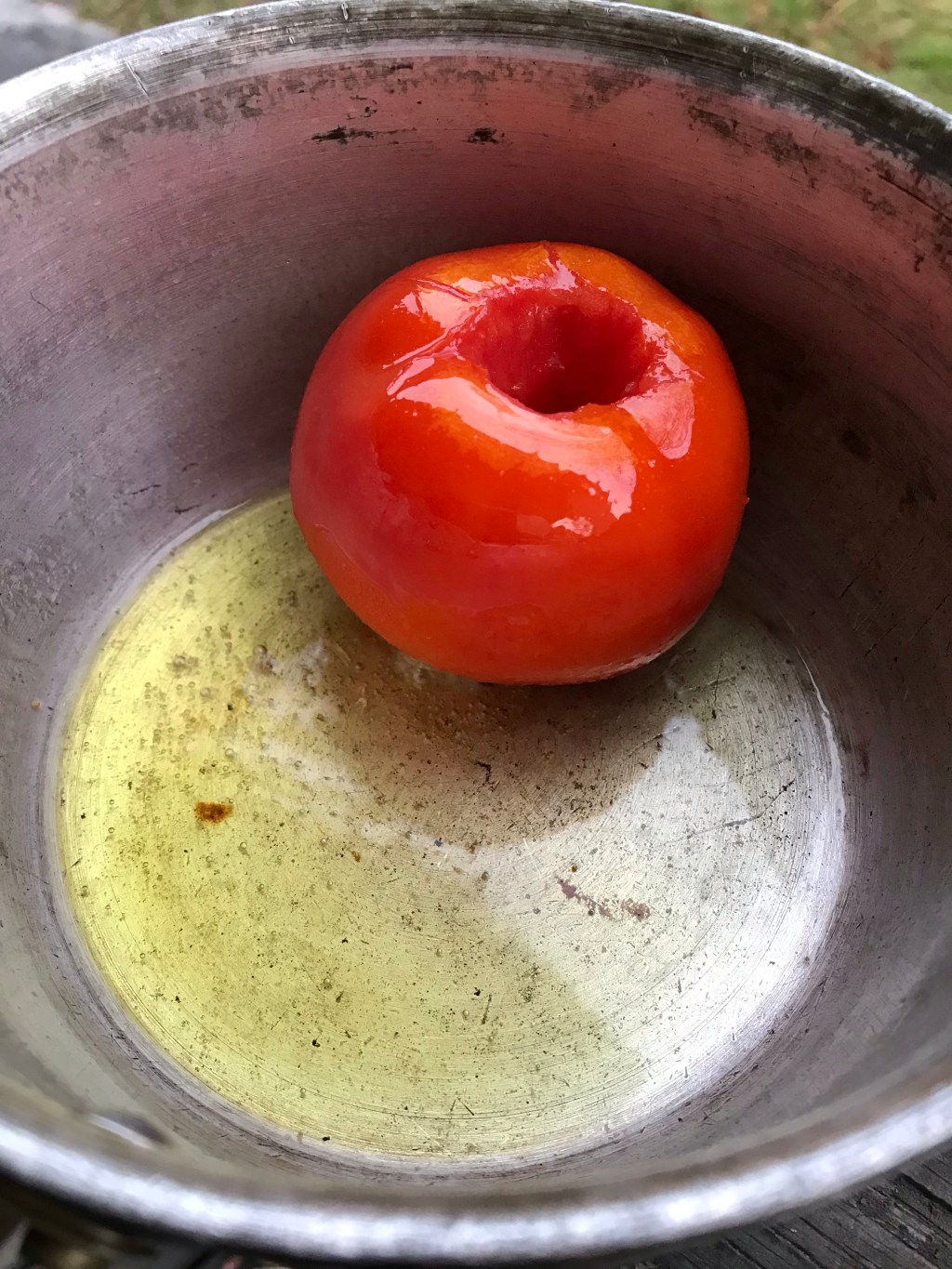 Tomato, waiting on the&nbsp;rice