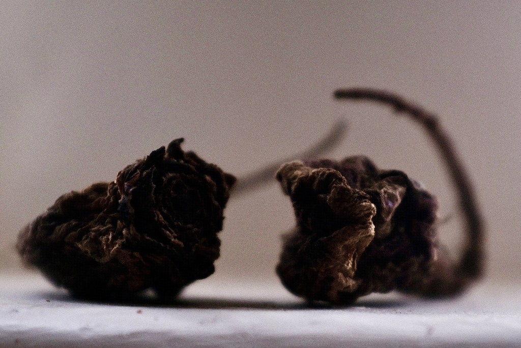 Not forgotten, not a memory —&nbsp;Beetroots