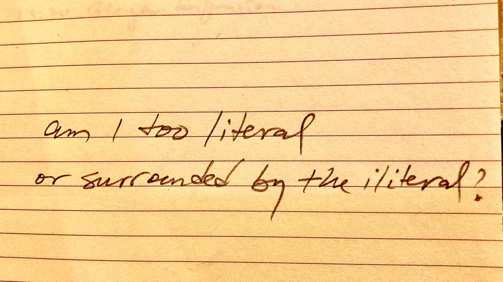 “You are too&nbsp;literal”