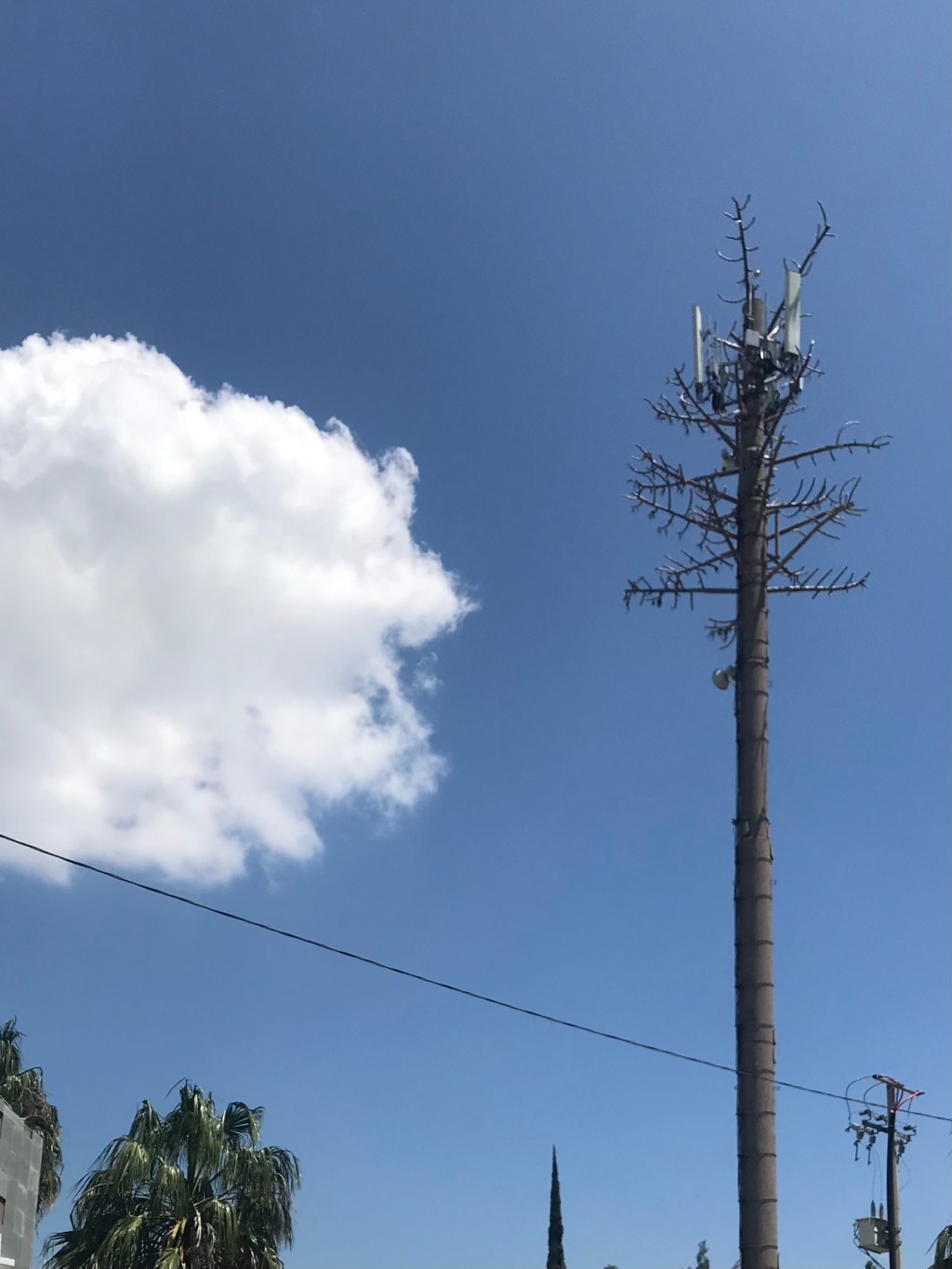 One day, a Mexican might share&nbsp;why