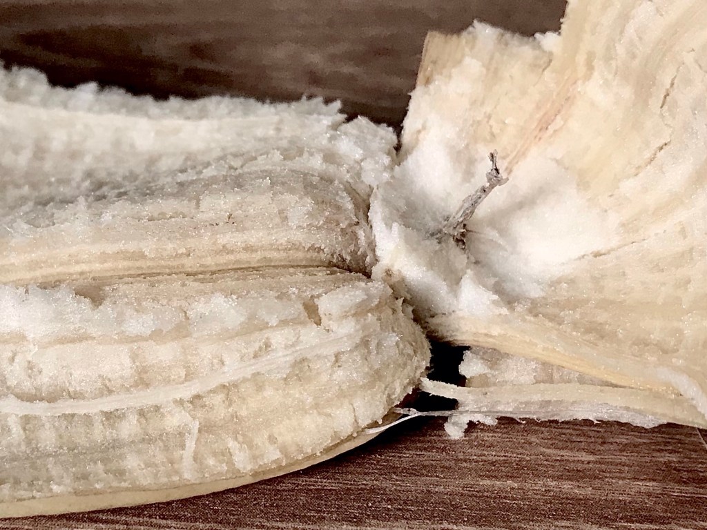 It intrigues me increasingly to take notice of the most simplistic and small aspects of being, even more than understanding their&nbsp;why