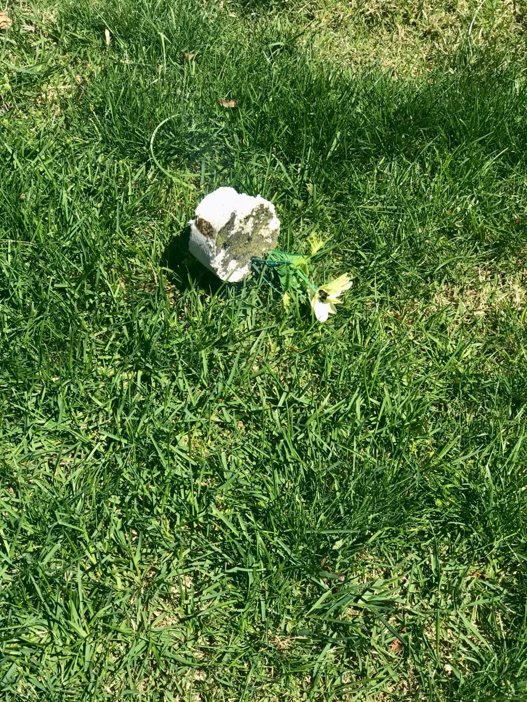 Which is the logical and spiritual framework behind “decor” and&nbsp;“decoration”?