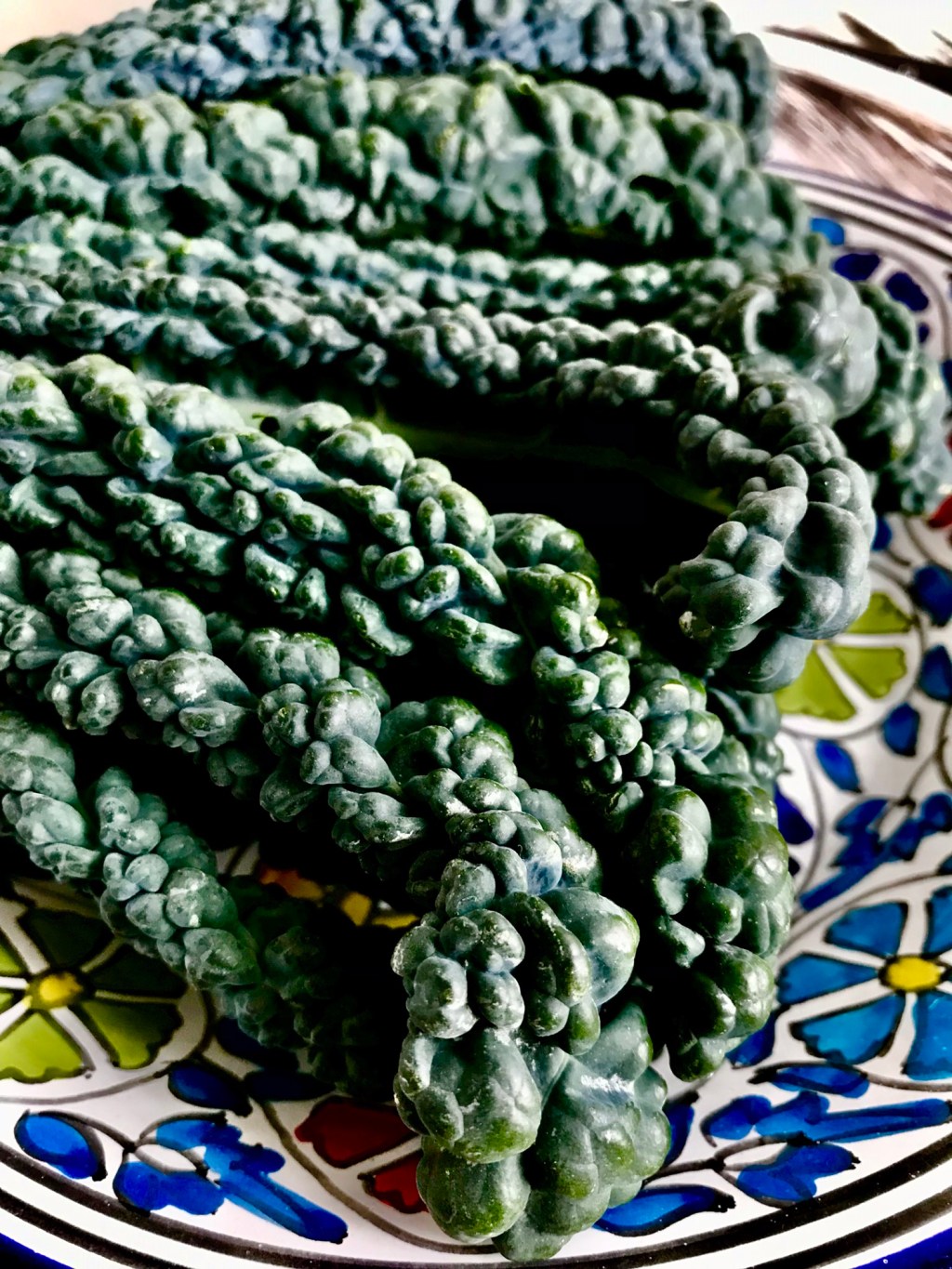 Tuscan kale,&nbsp;Italian kale,&nbsp;dinosaur kale,&nbsp;kale,&nbsp;flat back kale,&nbsp;palm tree kale, or&nbsp;black Tuscan&nbsp;palm