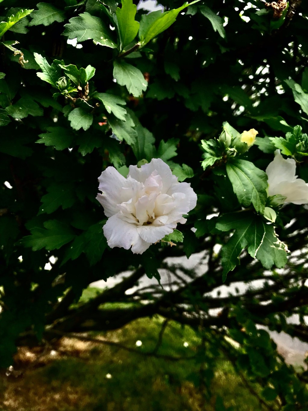 What is needed to create a&nbsp;flower?