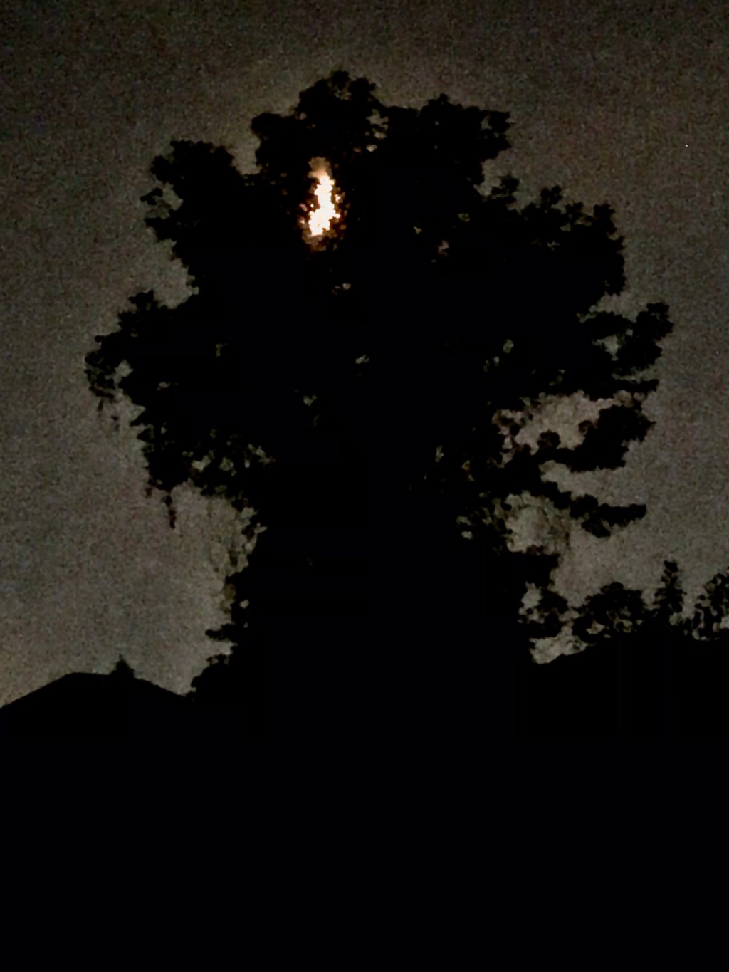 Moon test — Wednesday, August 14, 2024 at 9:44&nbsp;PM