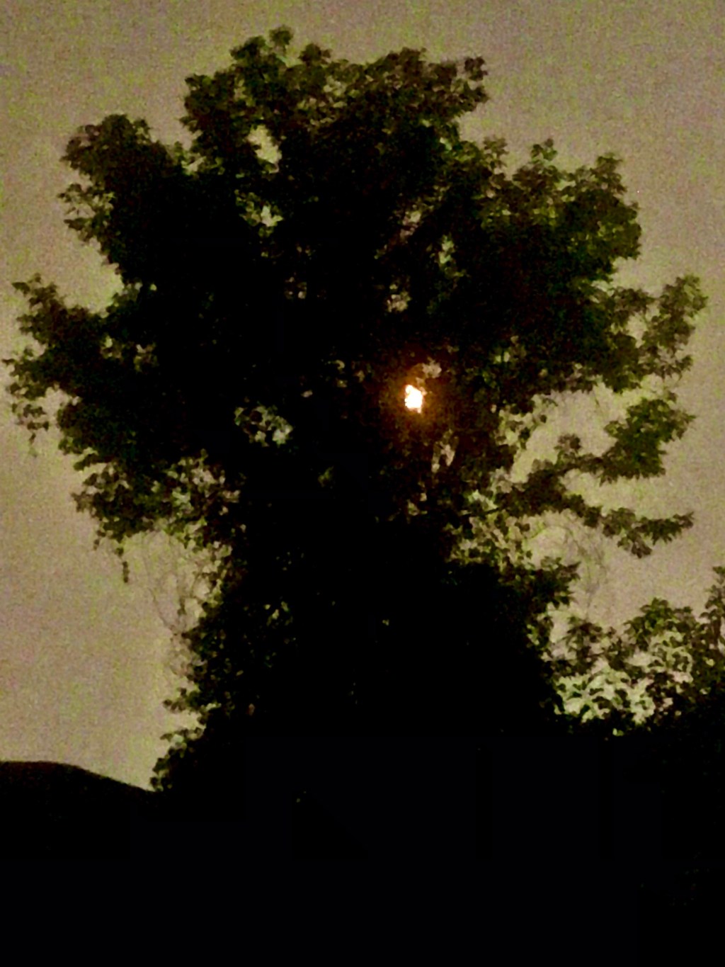 Moon test — Thursday, August 15, 2024 at 10:41&nbsp;PM