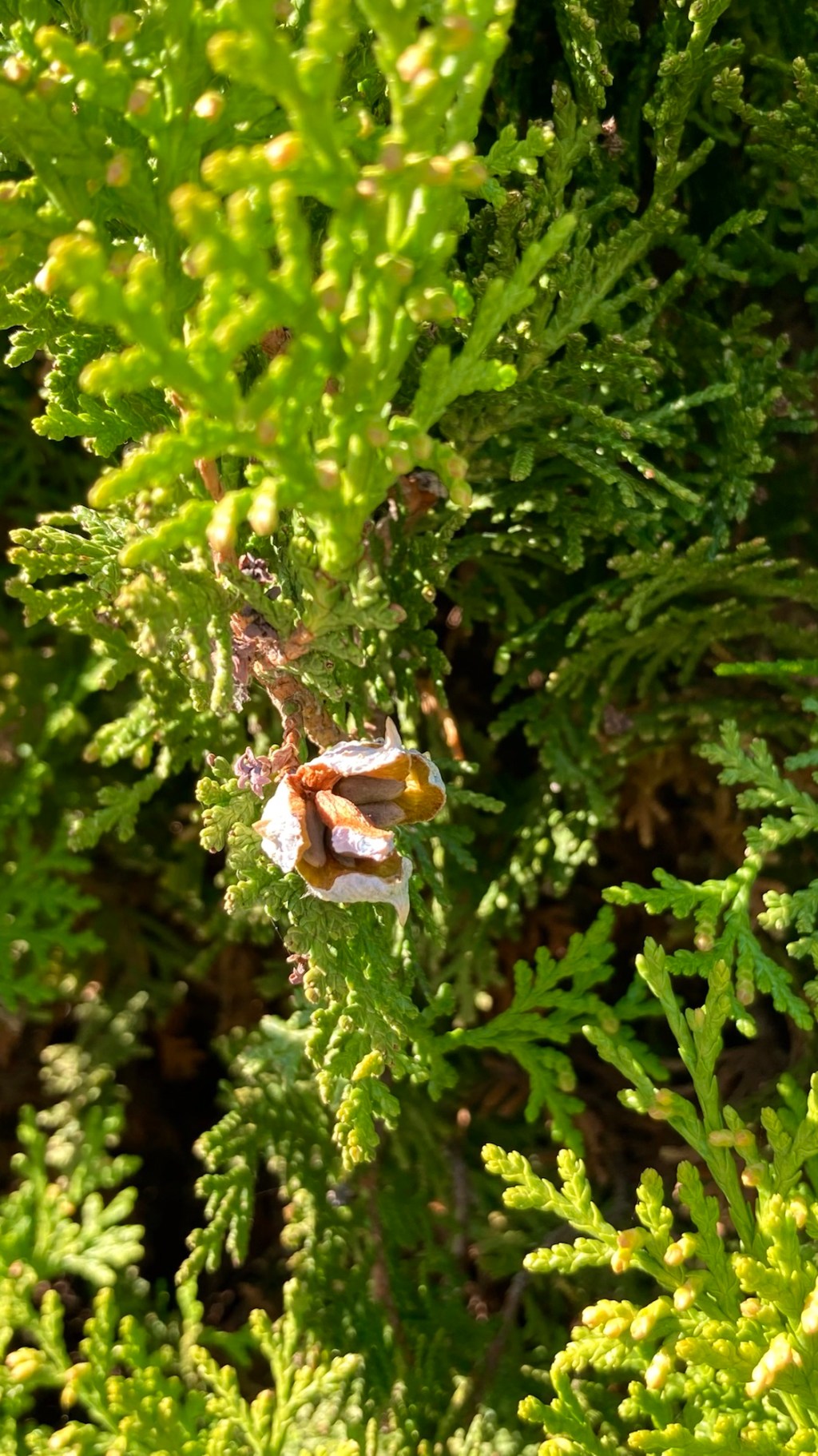 Beholding the beauty of&nbsp;decay