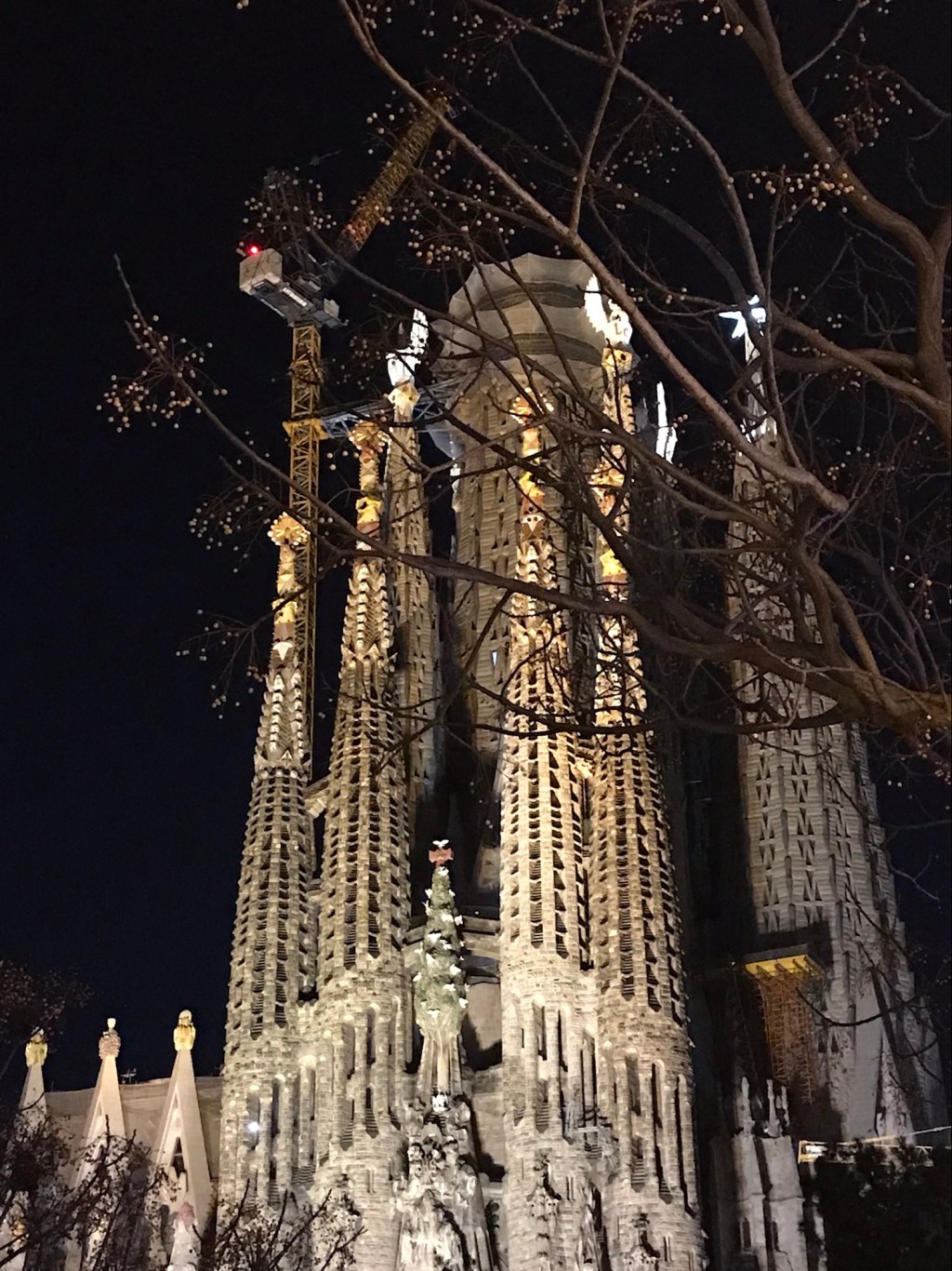 Basílica i Temple Expiatori de la Sagrada Familia —&nbsp;detail