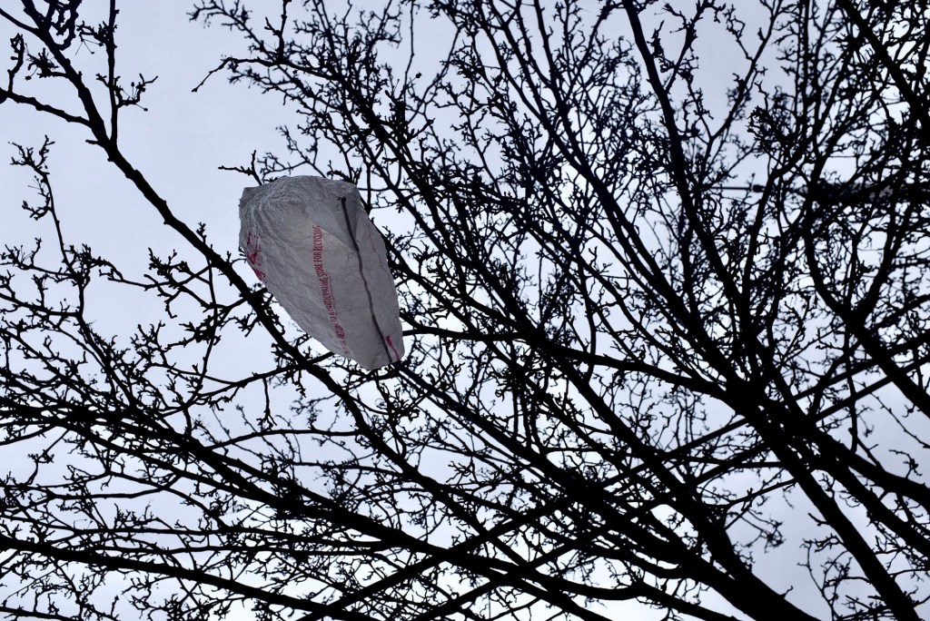 “Bag-for-recycling” tree