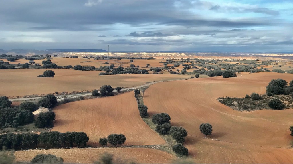 ‎⁨Alcolea del Pinar⁩