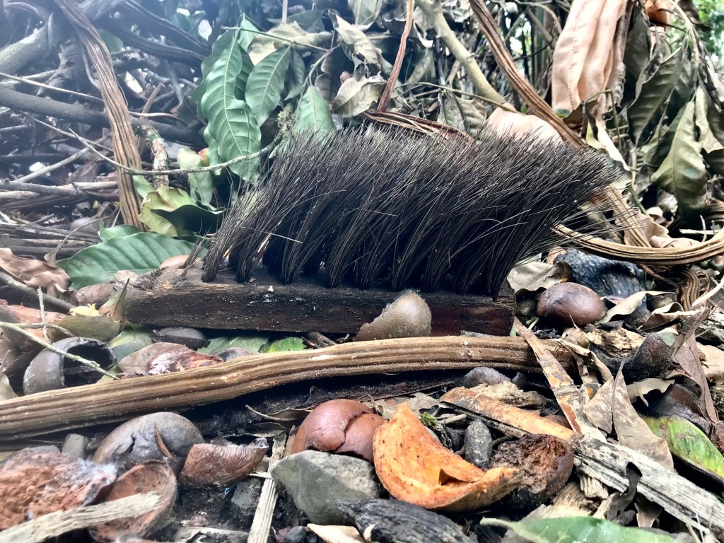 broom — discarded,&nbsp;reminder