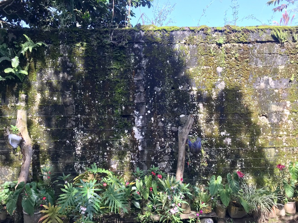 wall behind the fence behind the&nbsp;flowers