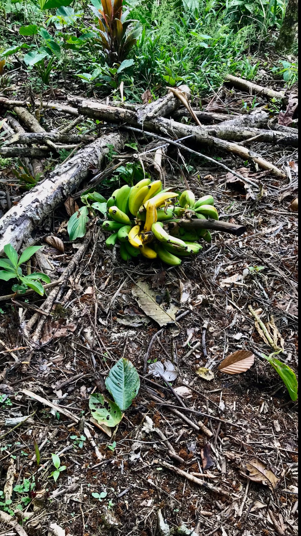 Waste on a farm has a different&nbsp;meaning