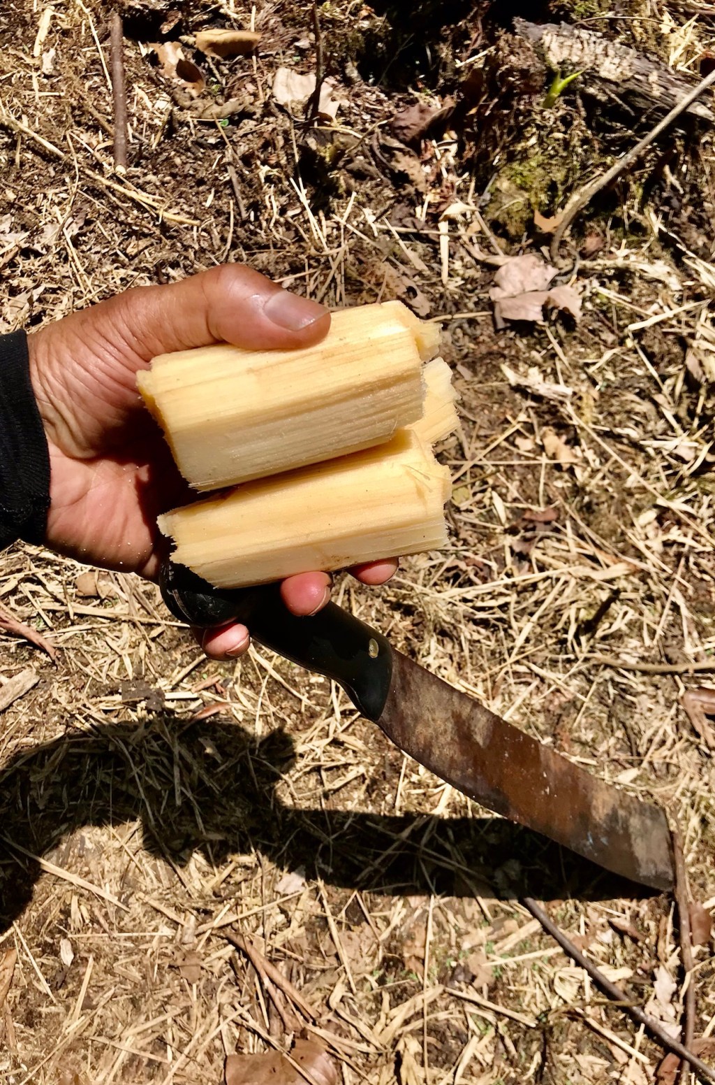 Since childhood, and cane before&nbsp;sugar