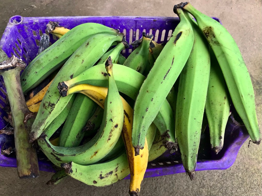 Plantains