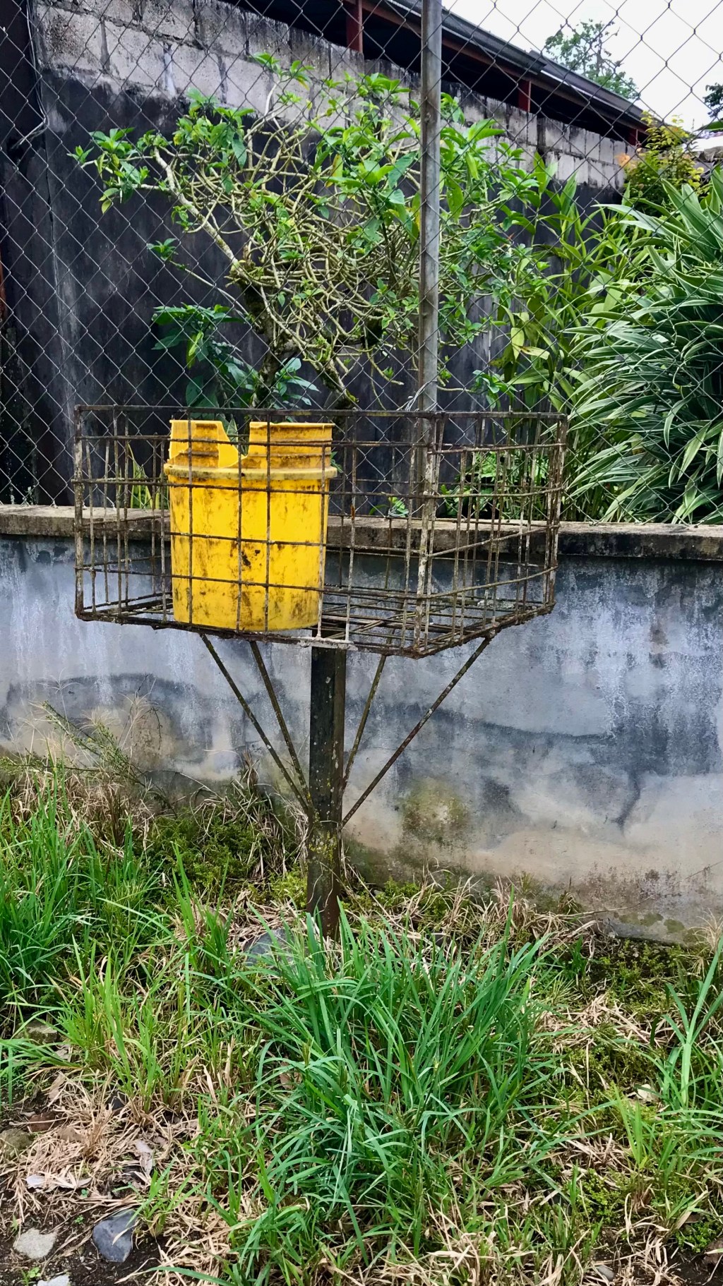 Waste bin in waste&nbsp;basket