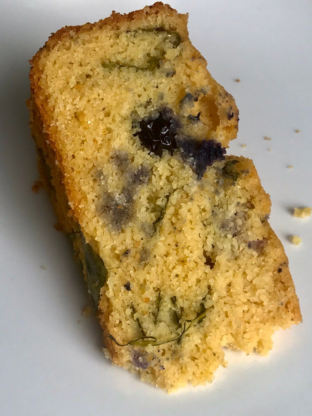 this high altitude might be beneficial for my blueberry-basil-blueberry bread