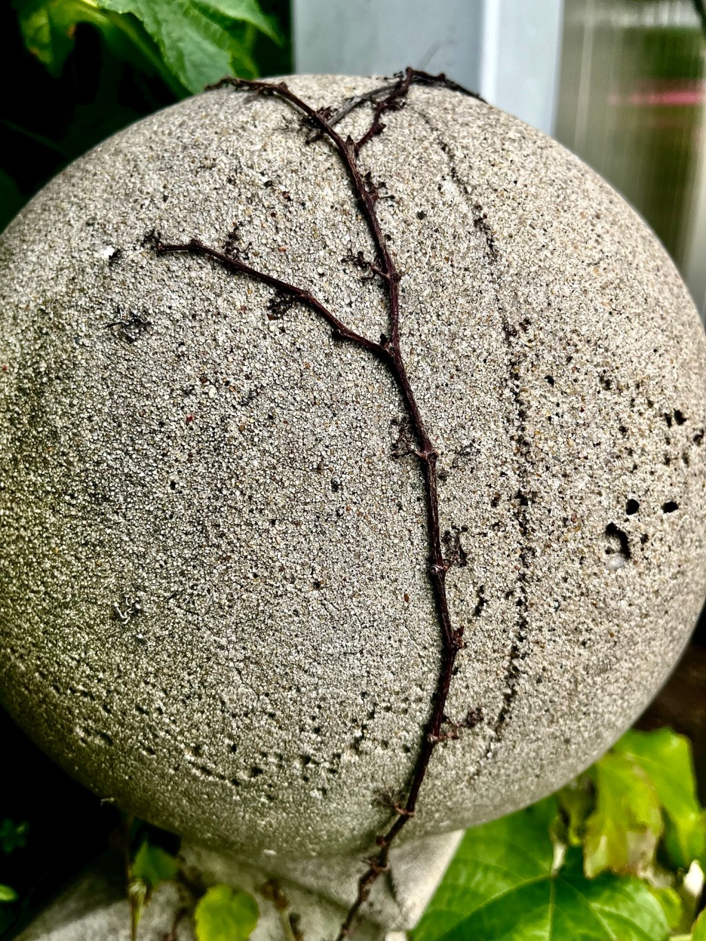 10,001 posterior questions&nbsp;(excerpt)