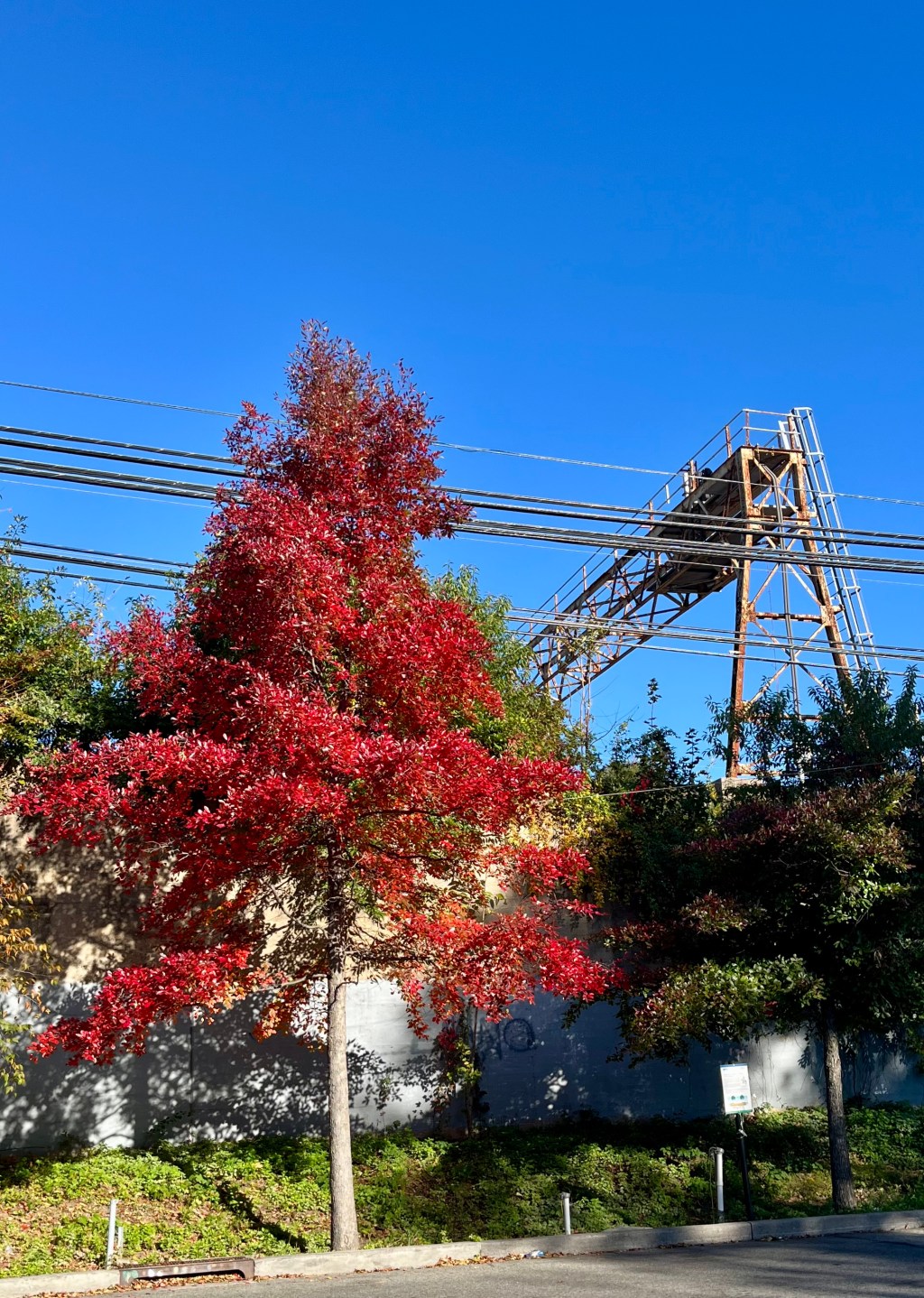 Fall does not happen&nbsp;everywhere